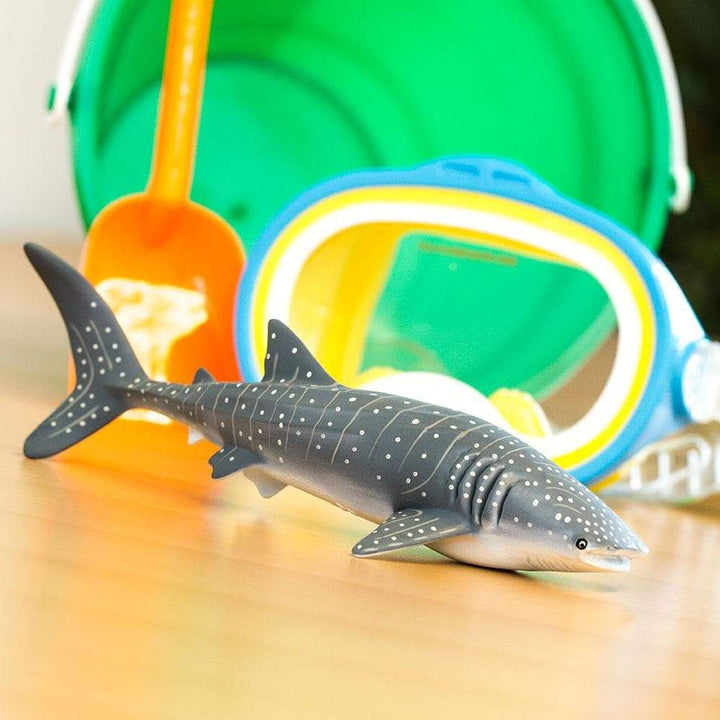 Whale Shark