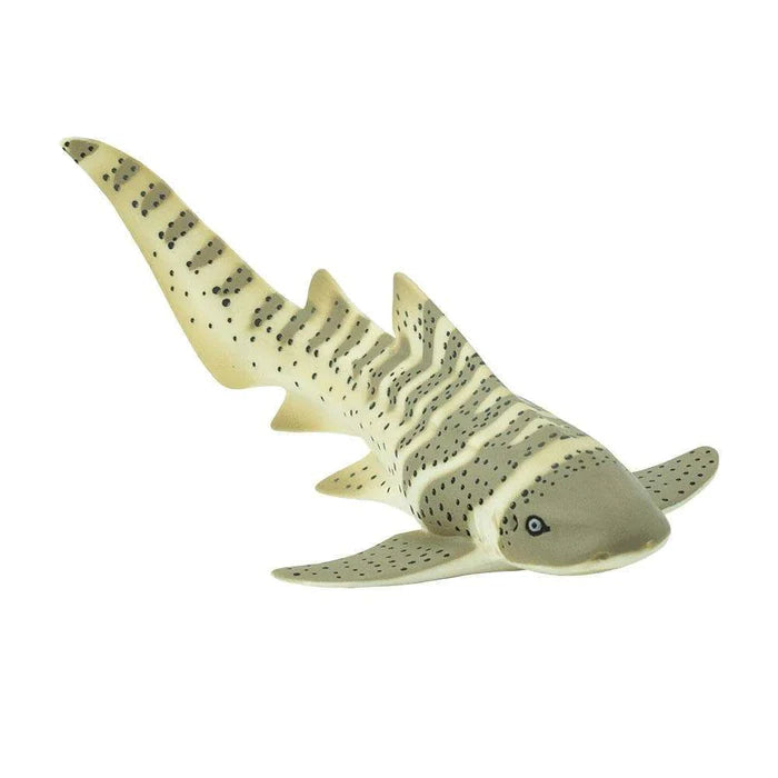 Zebra Shark