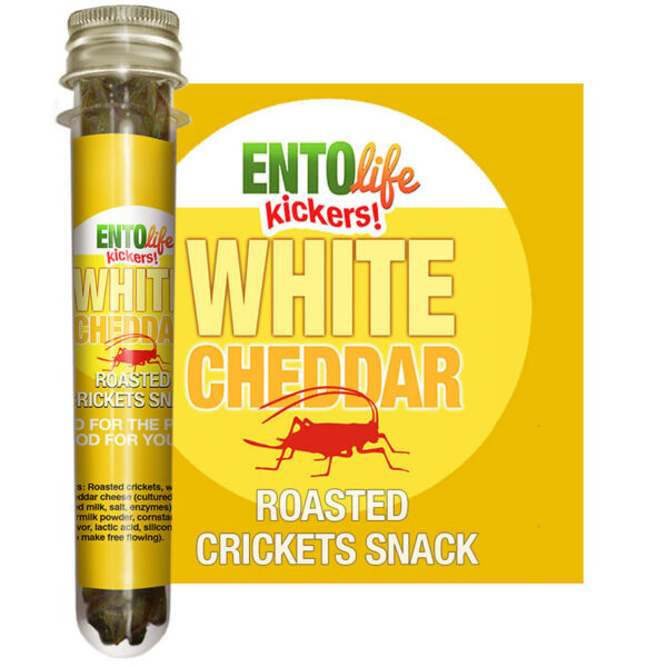 Roasted Cricket Snacks