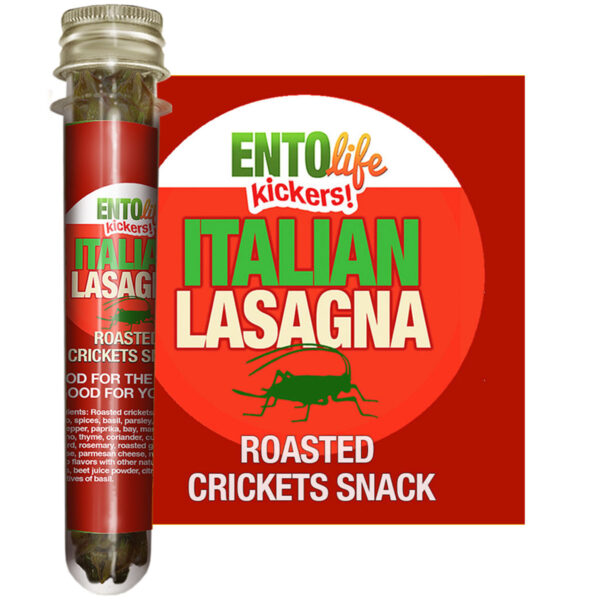 Roasted Cricket Snacks