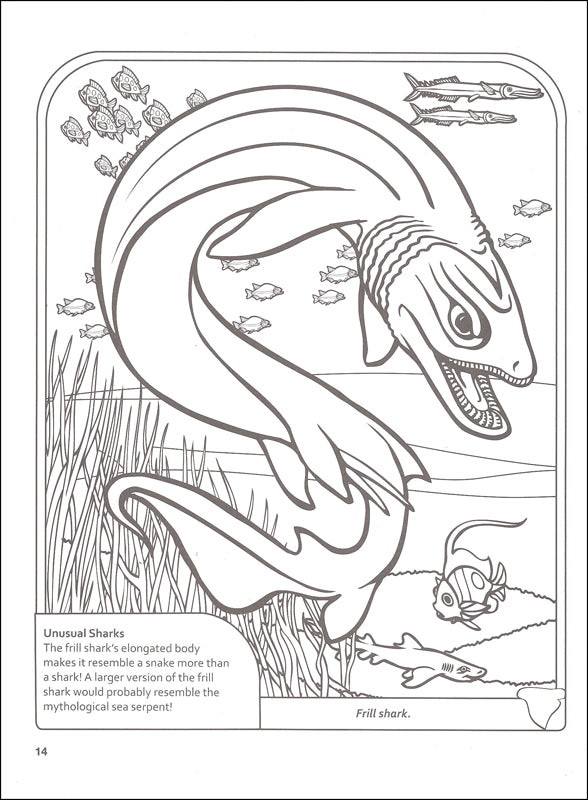 Sharks Coloring Book
