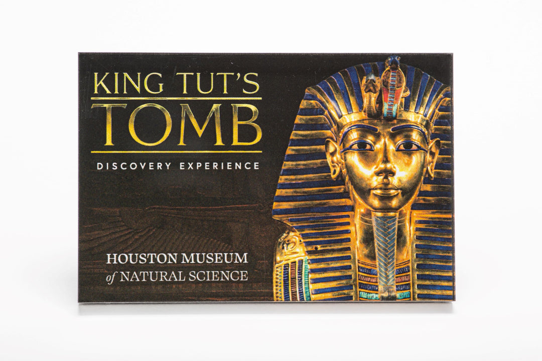 *FINAL SALE* HMNS King Tut's Tomb Discovery Experience Magnet, Rectangle