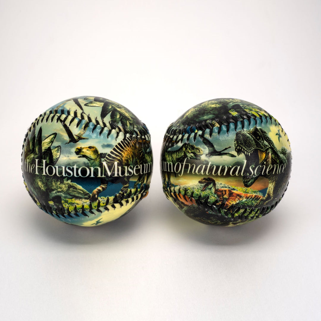 HMNS Dinosaur Baseball