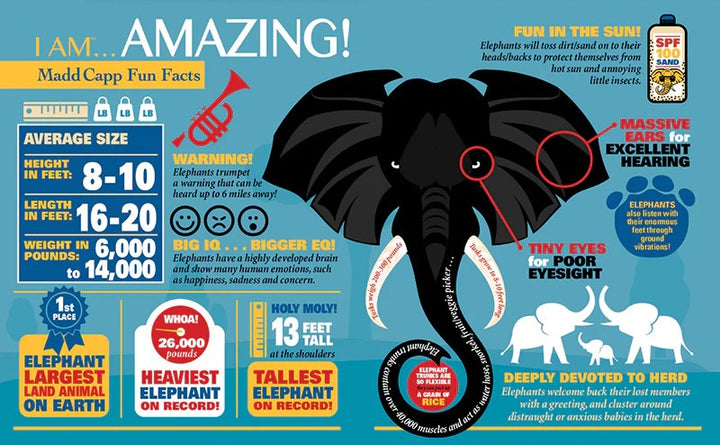 I am a Elephant Puzzle