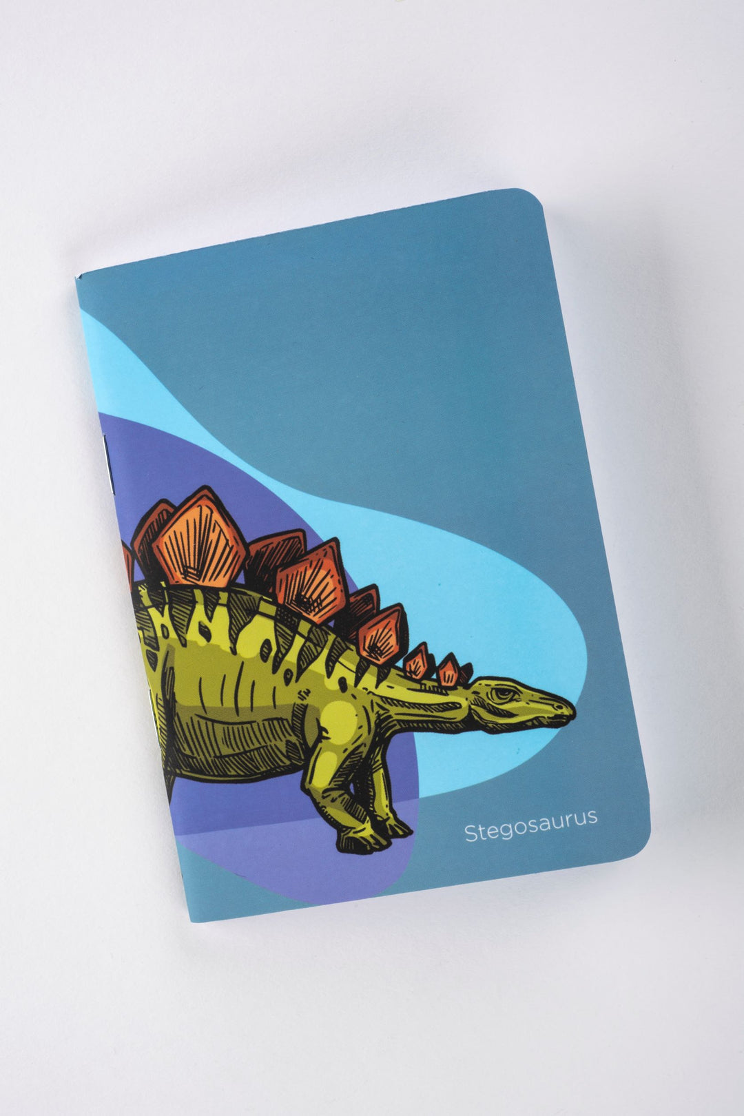 Dinosaur Pocket Journal