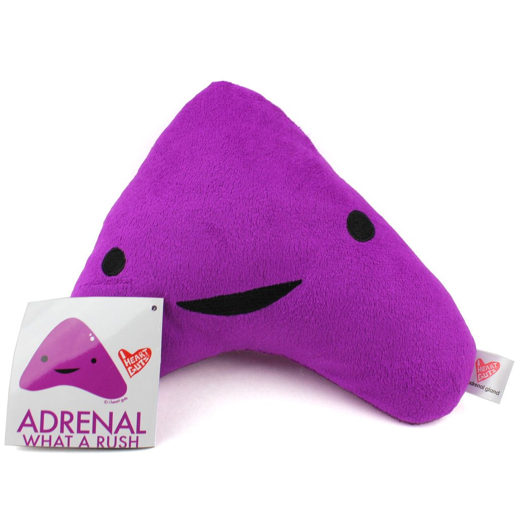 Adrenal Gland