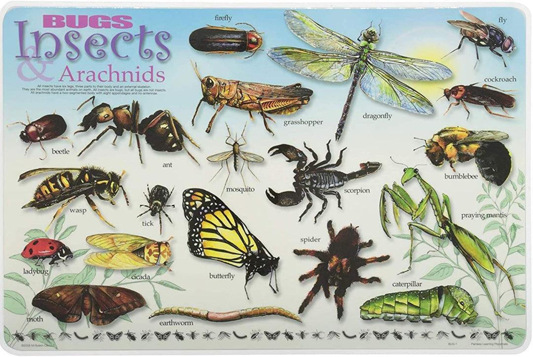 Bugs, Insects, and Arachnids Placemat