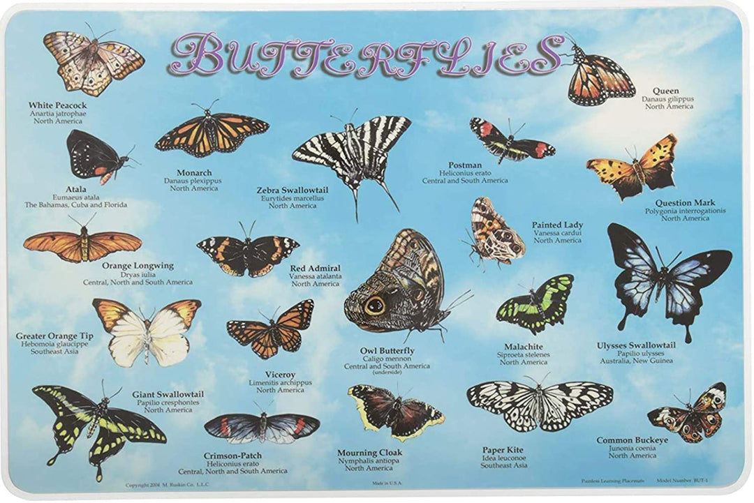 Butterfly Placemat