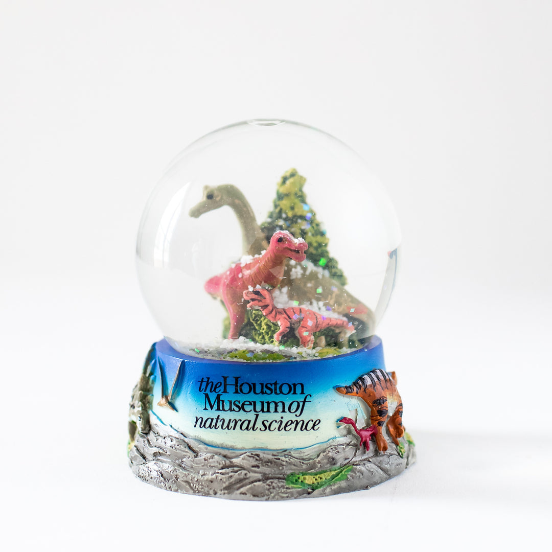 HMNS Dinosaur Snow Globe