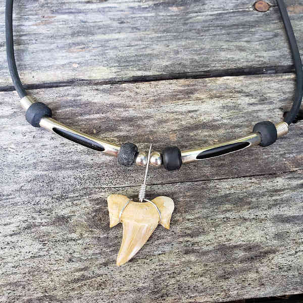 Split Tube Shark Tooth Necklace