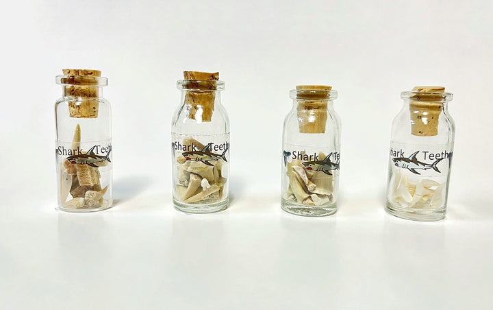 *FINAL SALE* Shark Teeth Bottle