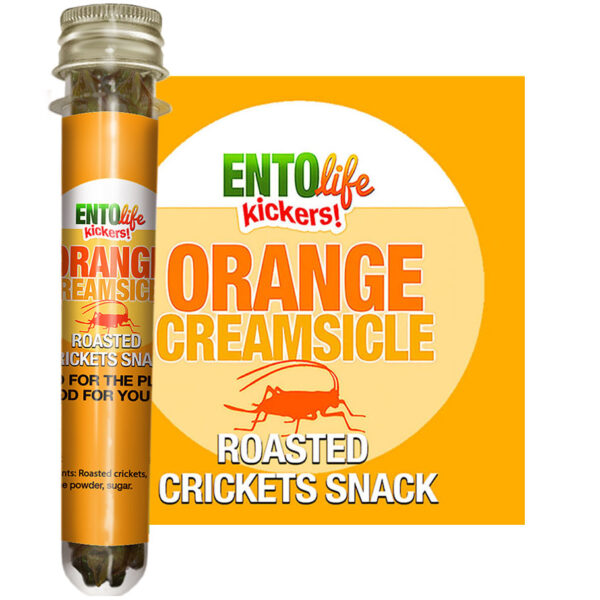 Roasted Cricket Snacks