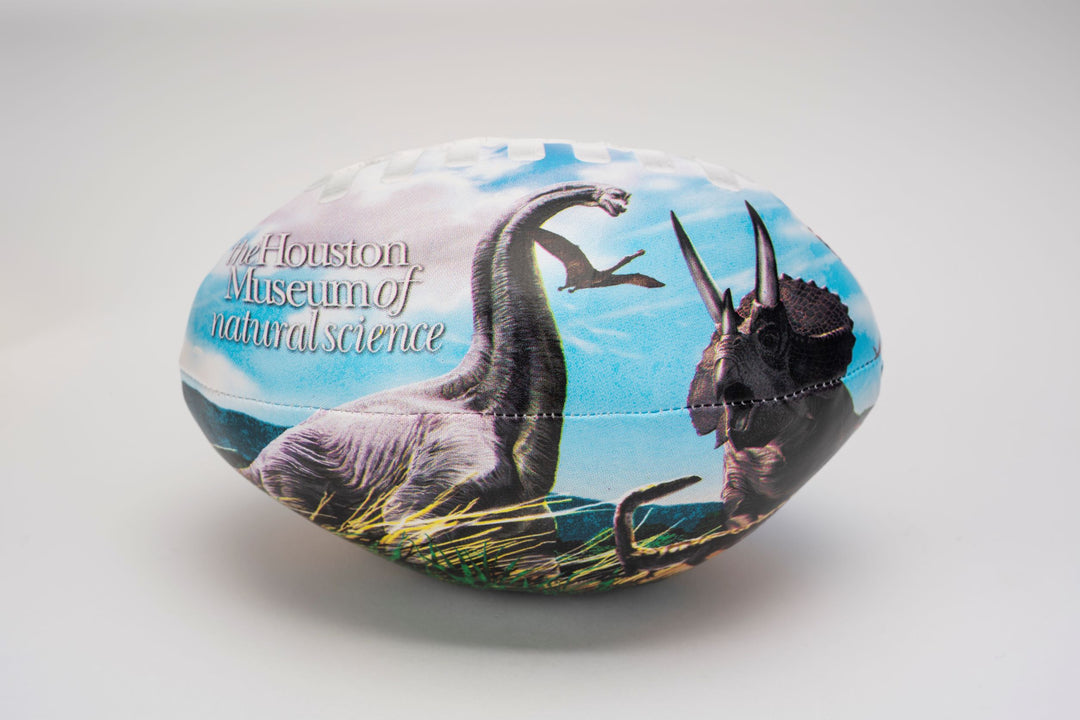 HMNS Dinosaur Football