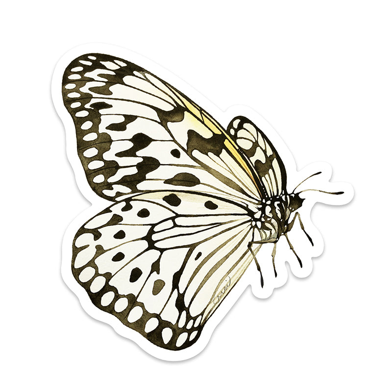 Rice Paper Butterfly Vinyl Sticker