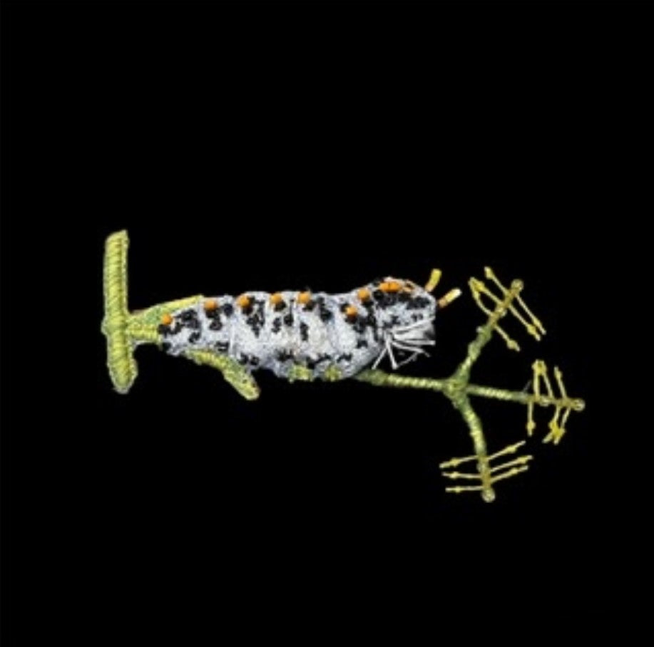 Swallowtail Caterpillar Brooch