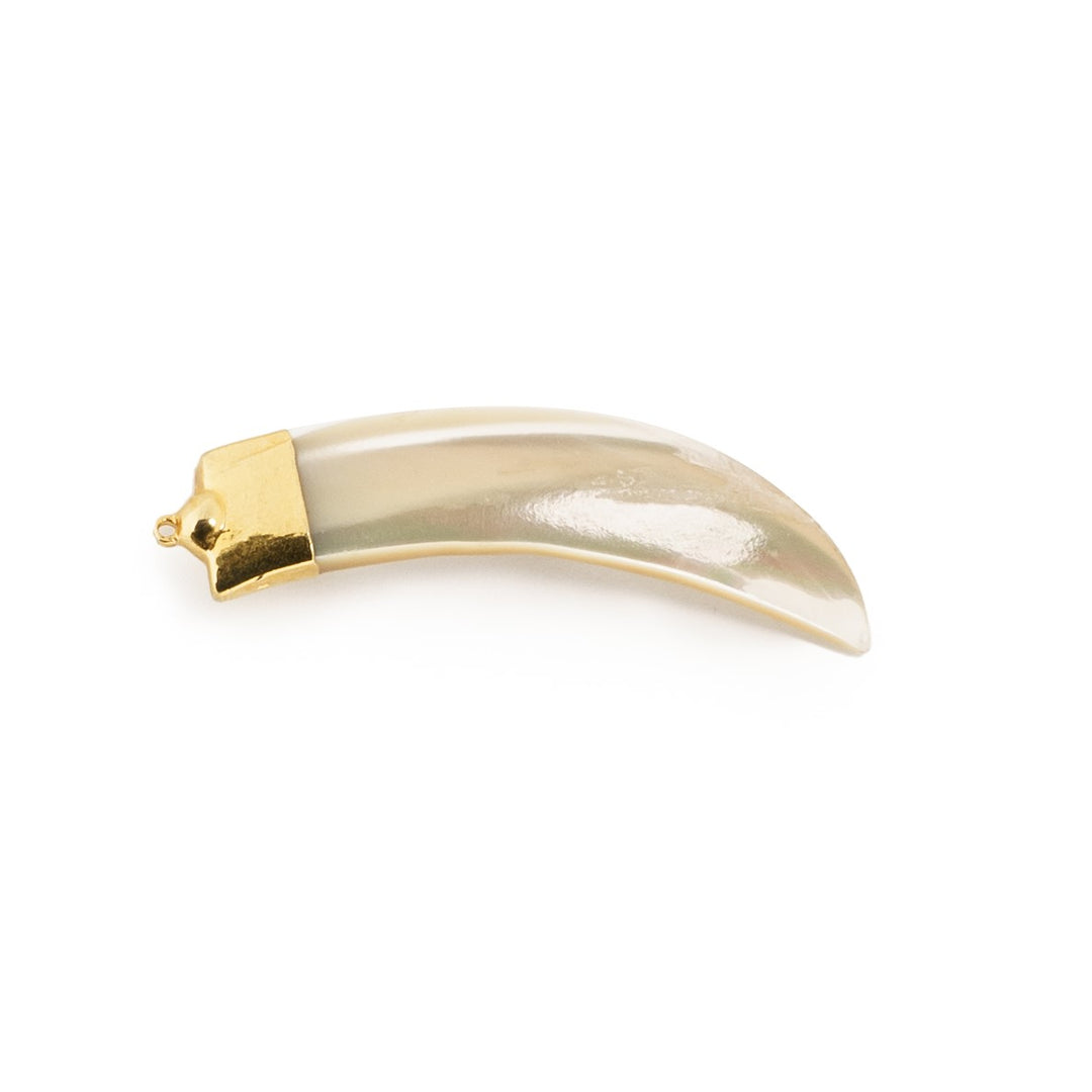 Shell Pendant