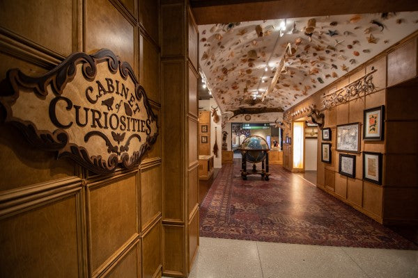Cabinet of Curiosities Entrance Postcard