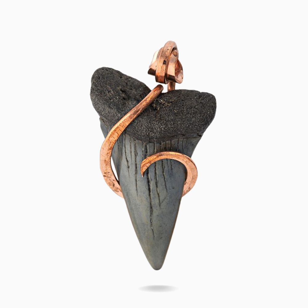 Copper-Wrapped Shark Tooth Fossil Pendant- 1.5 Inches