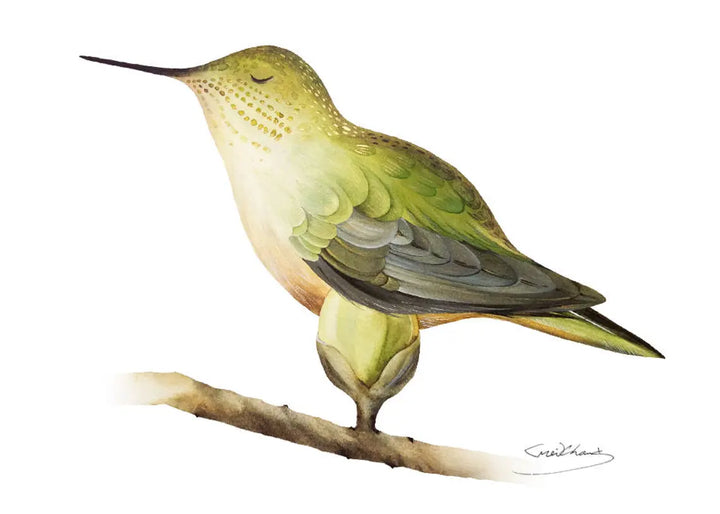 Birds Vinyl Sticker