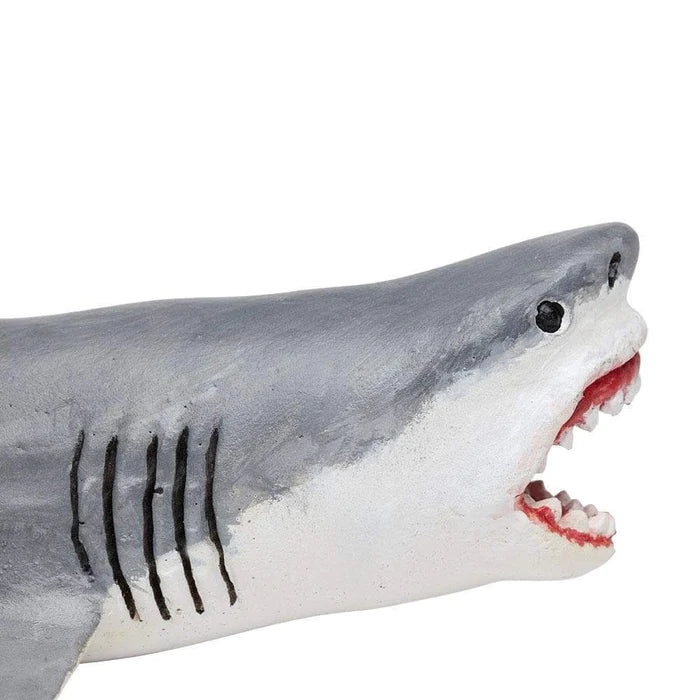 Megalodon