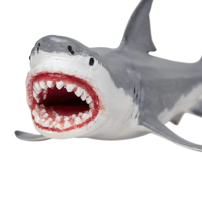 Megalodon