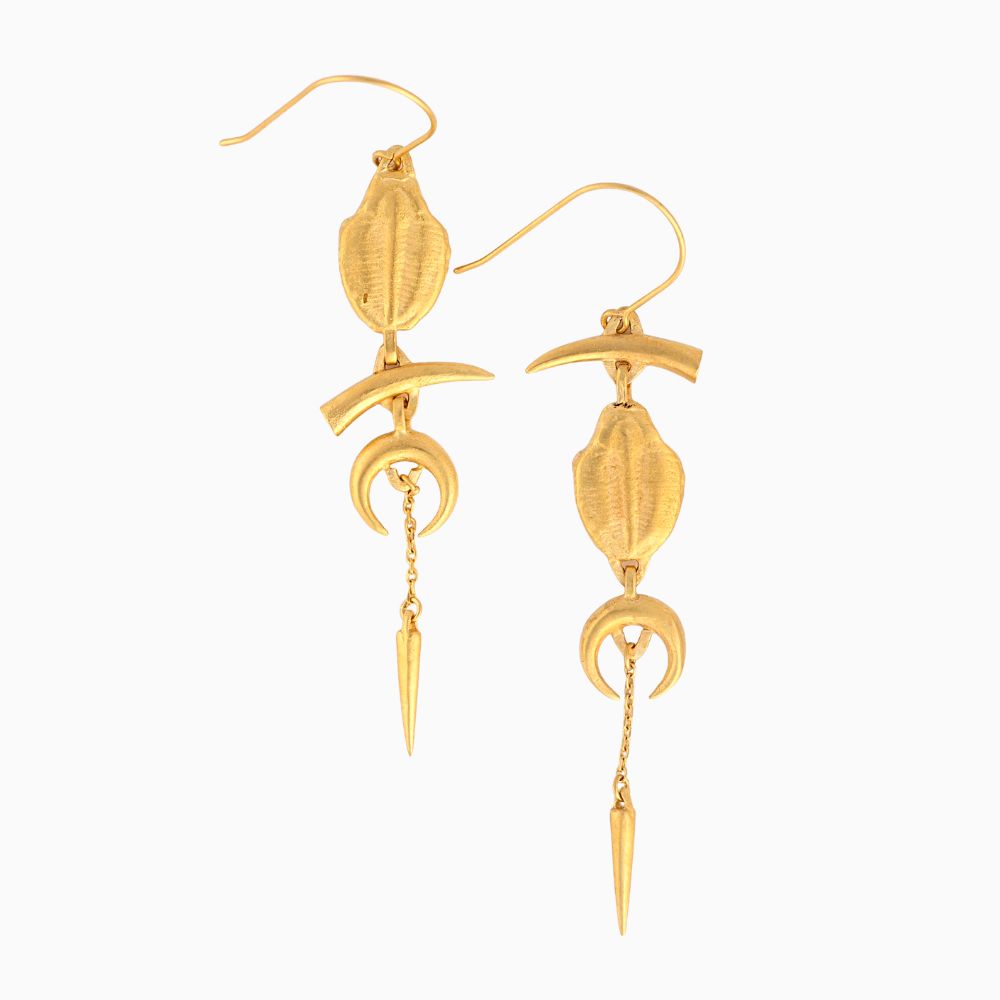 Trilobite Earrings