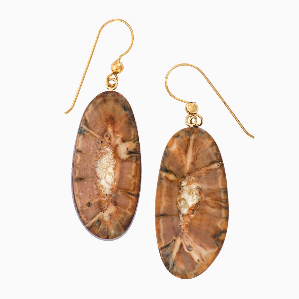 Fossil Slice Earrings