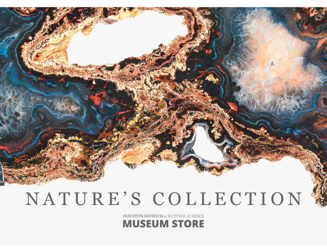 Nature's Collection Lookbook