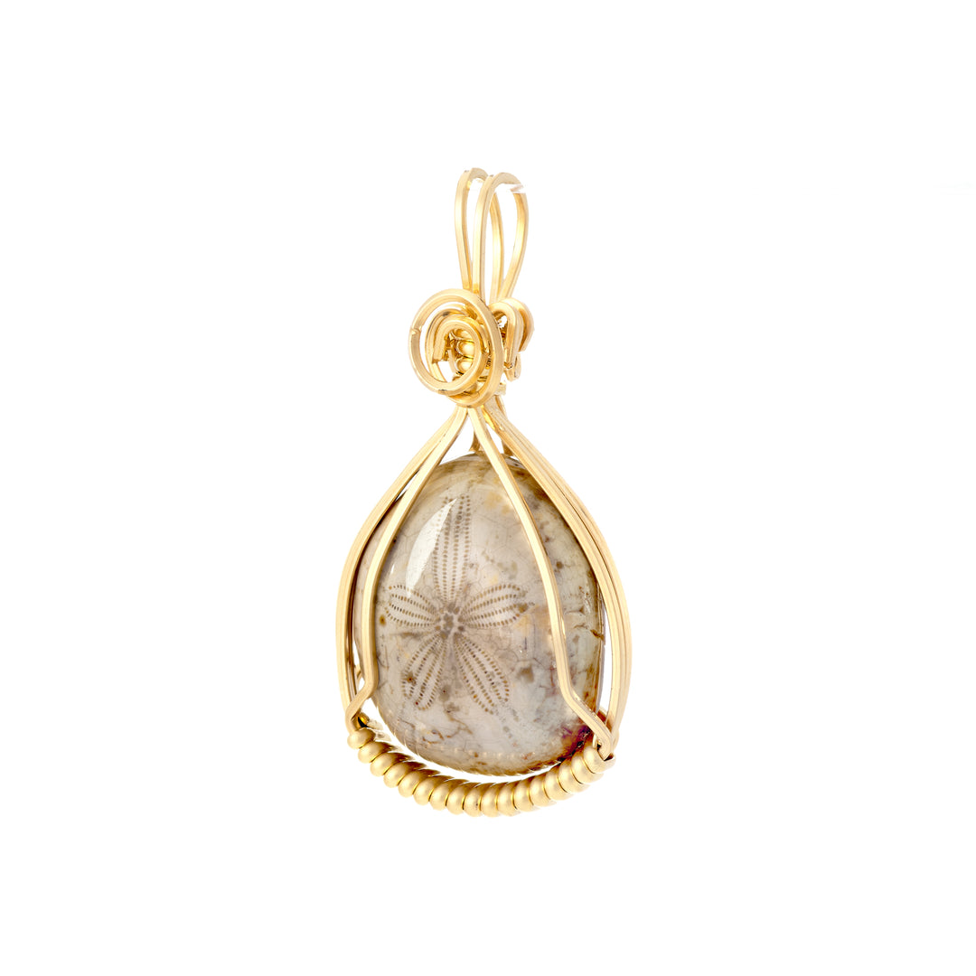 Fossilized Sea Urchin Pendant