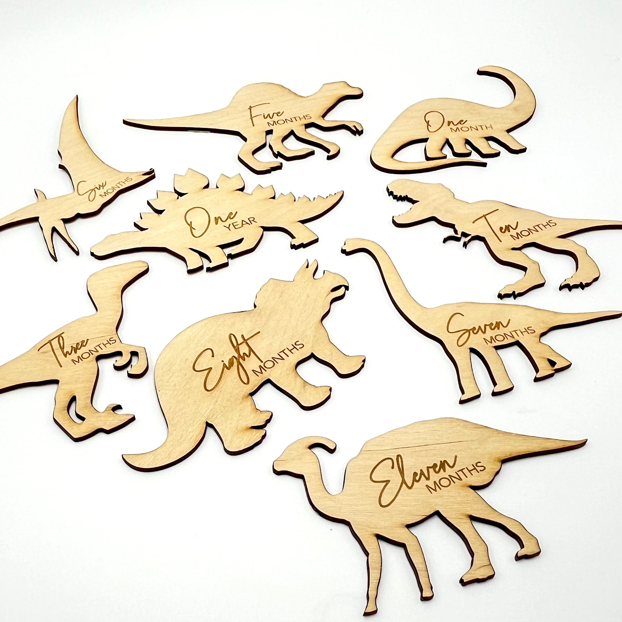 Wooden Dinosaur Month Markers