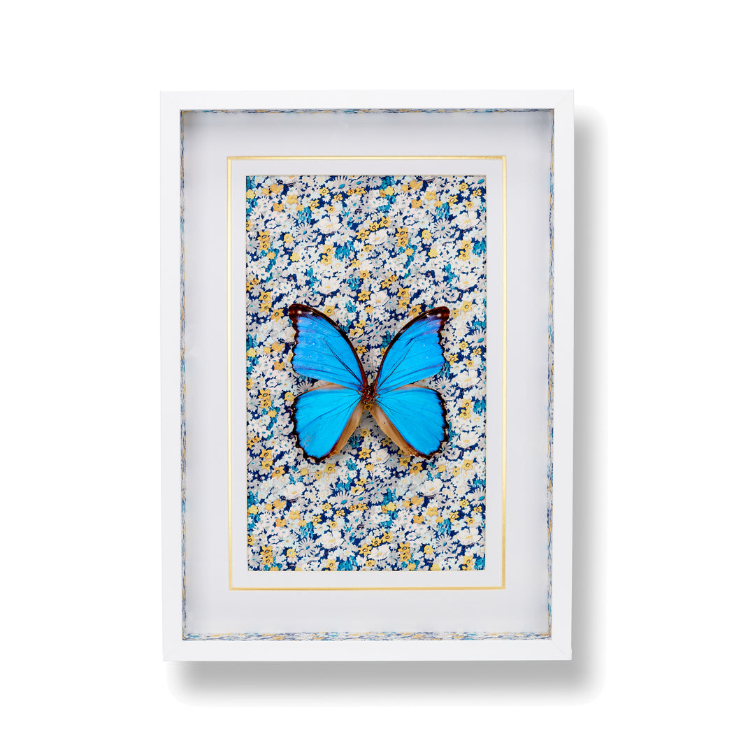 Large Blue Morpho Frame