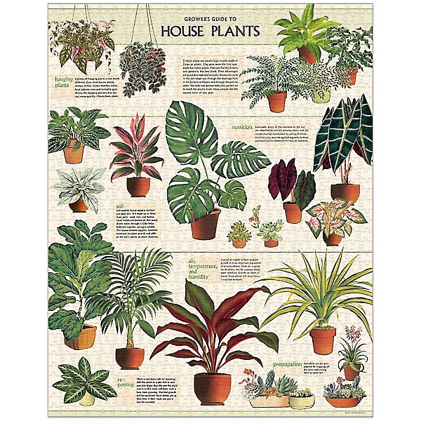 House Plants 1000 Pc Puzzle