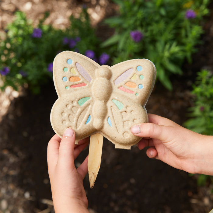 Butterfly Garden Seed Kit