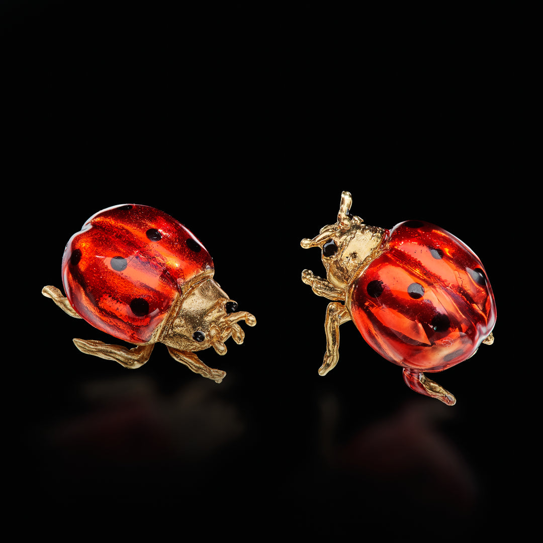 Coccinella rossa Pois nori Earrings
