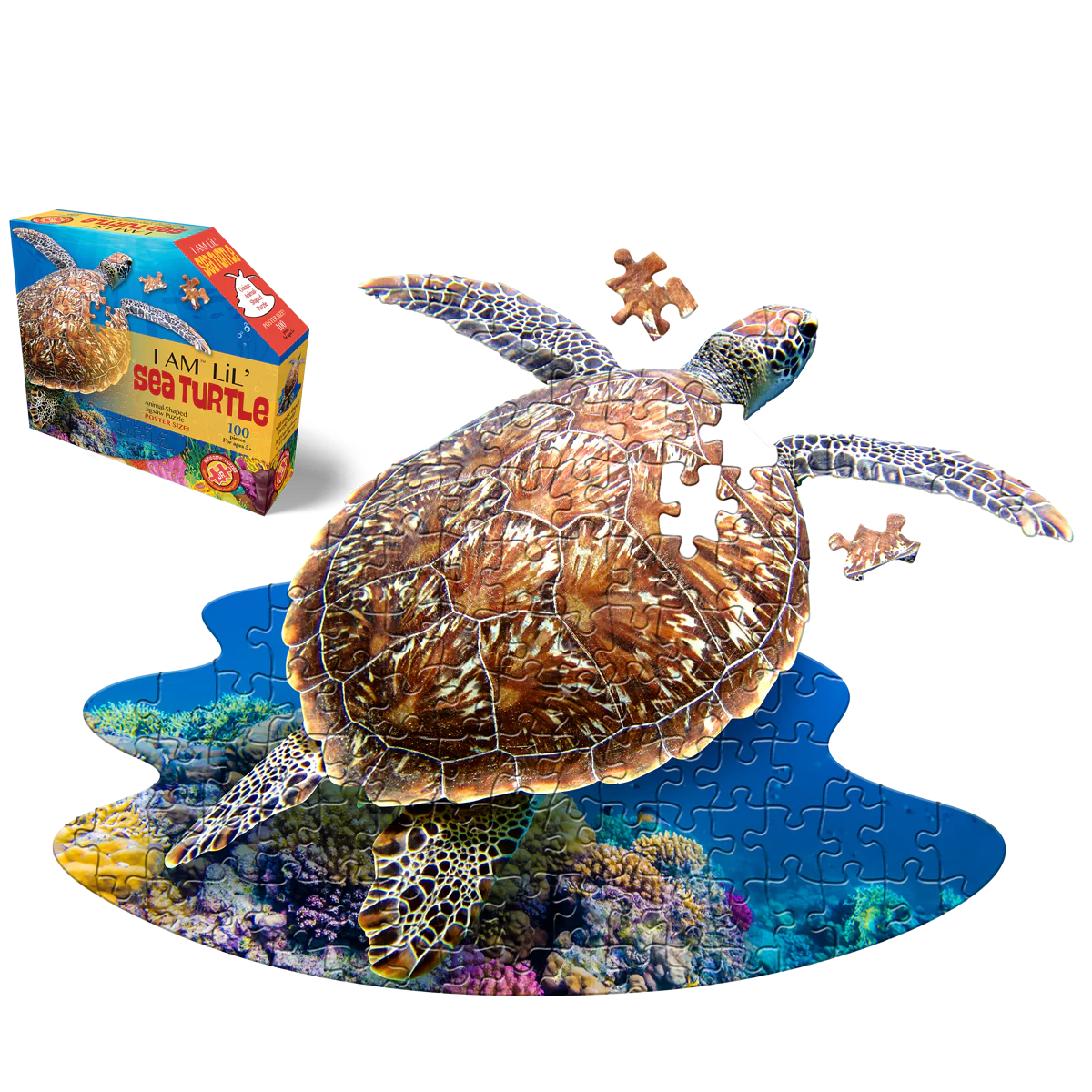 I am Lil' Sea Turtle Puzzle