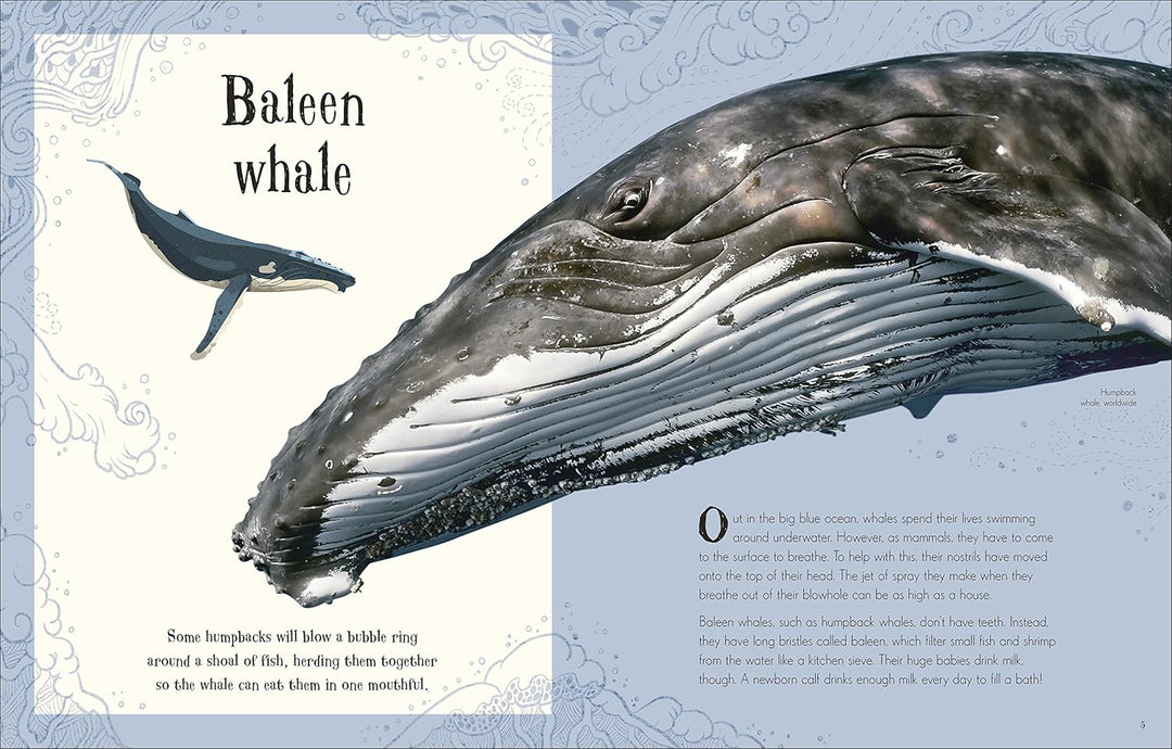 How Intriguing An Anthology of Intriguing Animals – Houston Museum of Natural Science