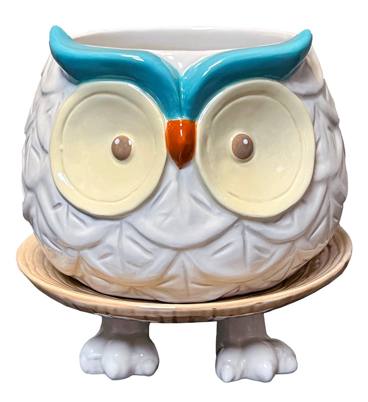 Footsie Planter- Hoots the Owl