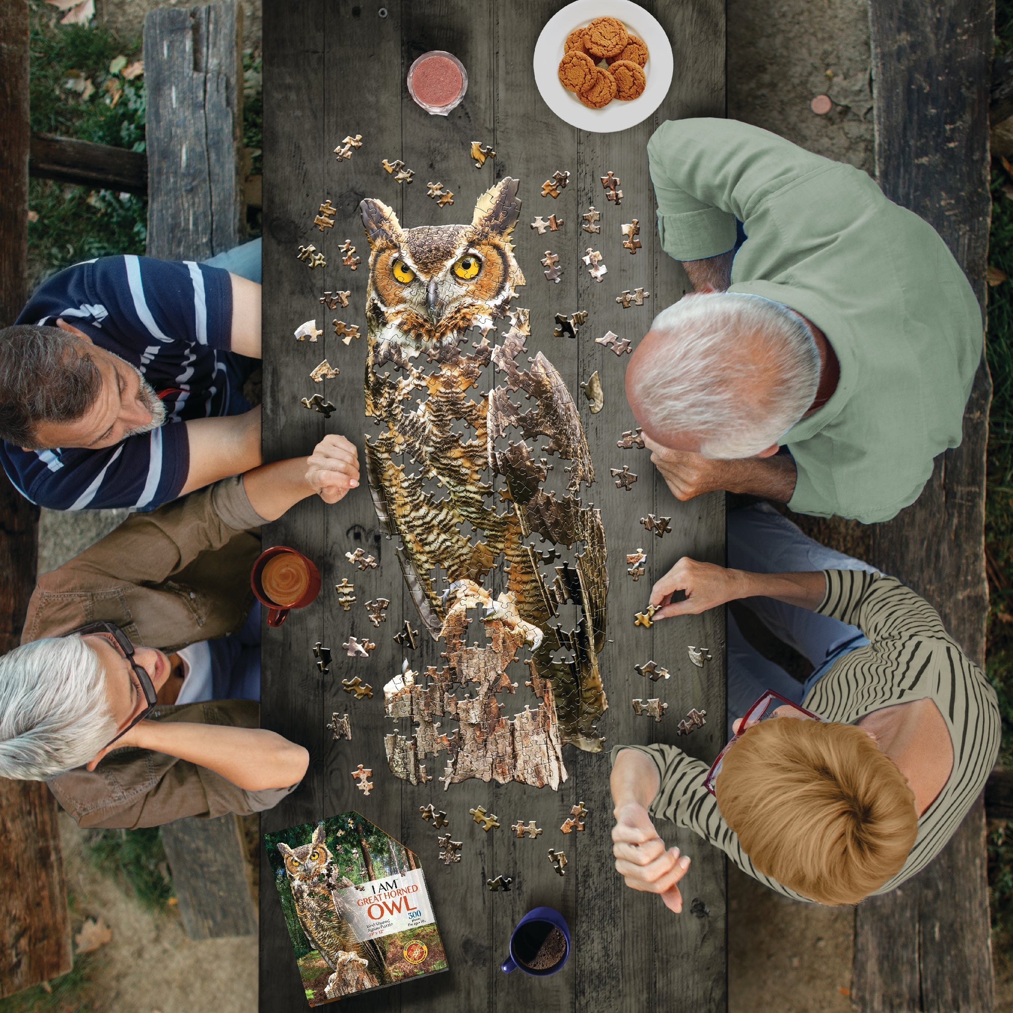 邦楽 OwL I Am Great Horned Owl, 300 Piece Puzzle – Houston Museum of
