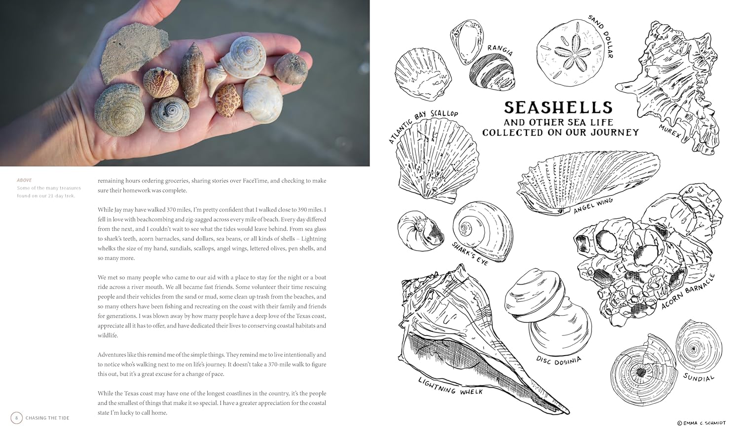 Chasing the Tide – Houston Museum of Natural Science