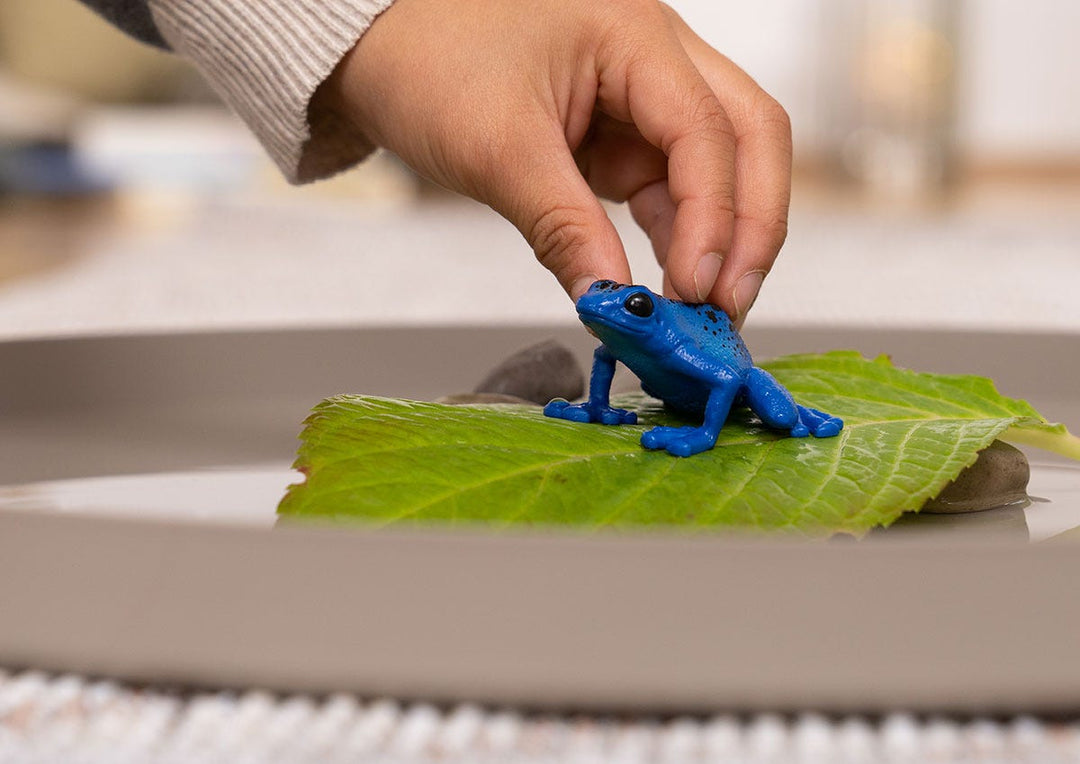 Blue Poison Dart Frog Replica Toy