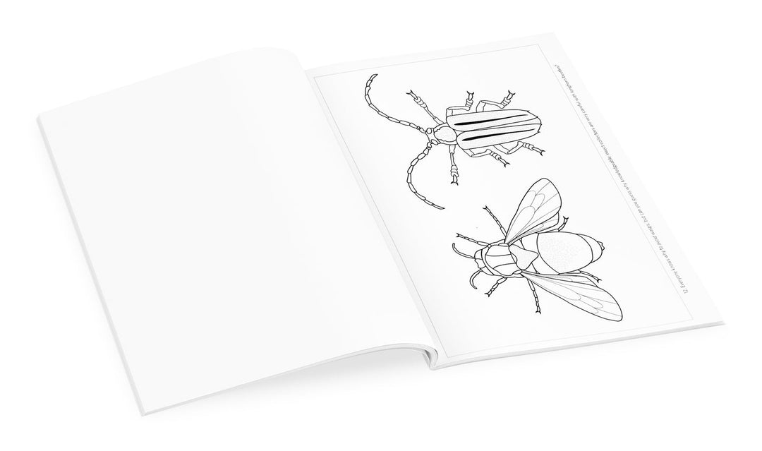 Incredible Insects Christopher Marley Coloring Book