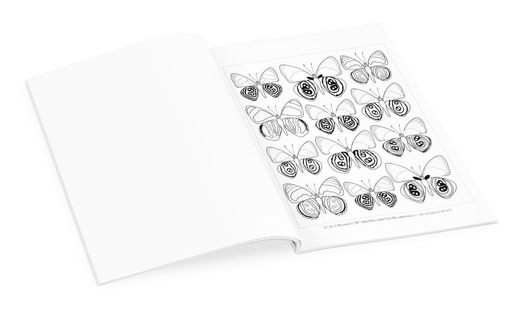 Incredible Insects Christopher Marley Coloring Book