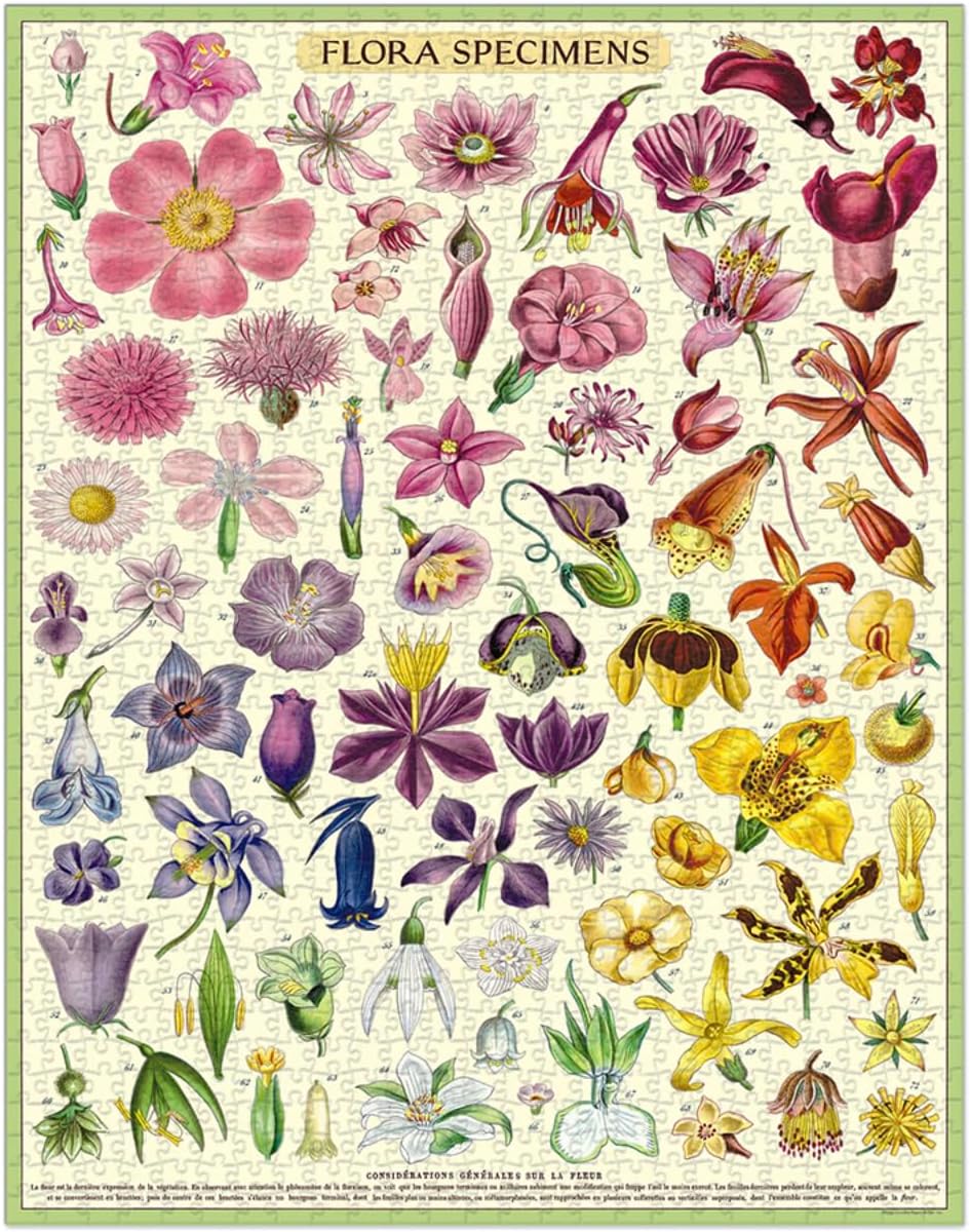Flora Specimen 1,000 Piece Puzzle