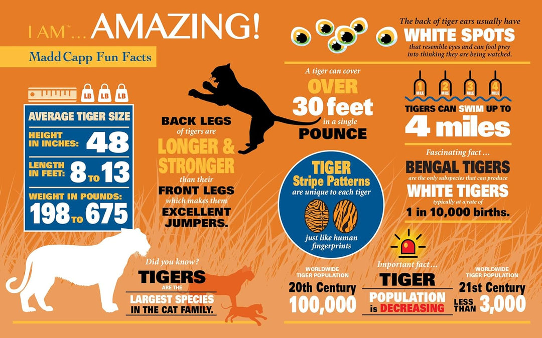 I Am Tiger Puzzle, 1000 Pieces