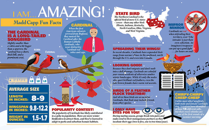 I Am Cardinal Puzzle, 300 Pieces