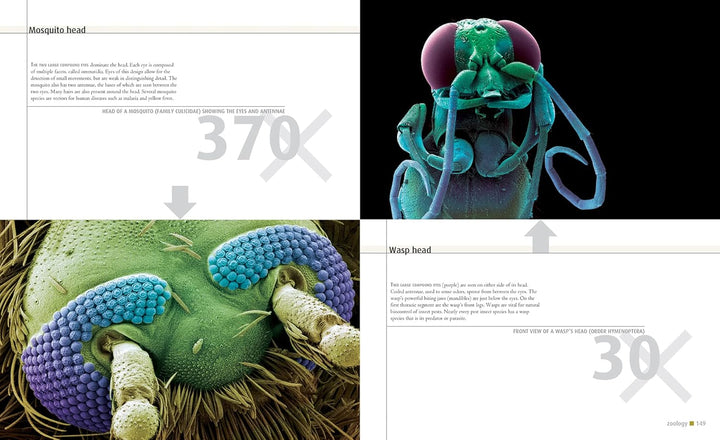 Microcosmos: Discovering The World Through Microscopic Images