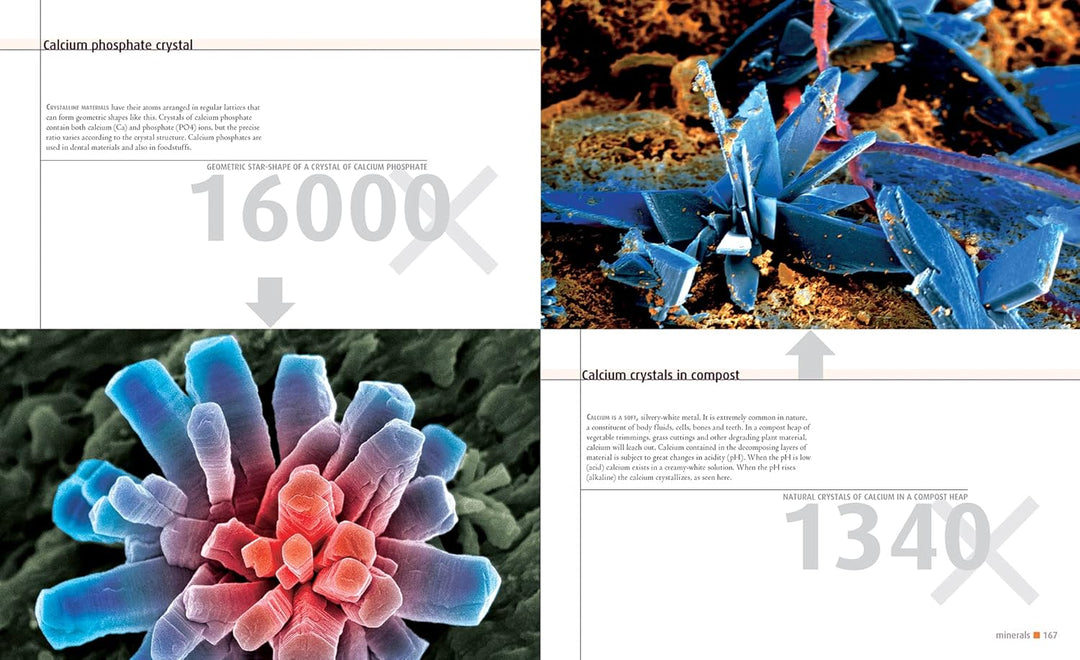 Microcosmos: Discovering The World Through Microscopic Images