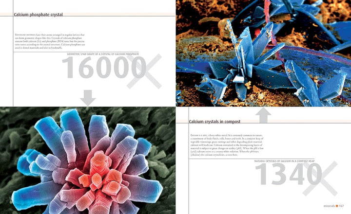 Microcosmos: Discovering The World Through Microscopic Images