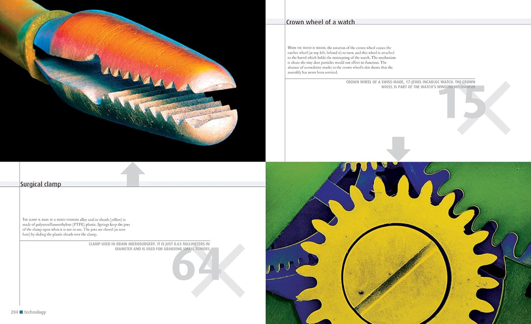 Microcosmos: Discovering The World Through Microscopic Images