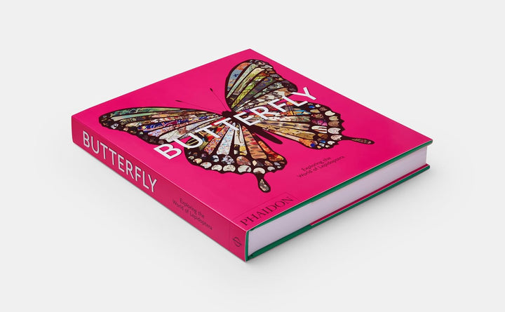 Butterfly: Exploring the World of Lepidoptera